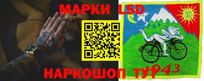 амф Гай