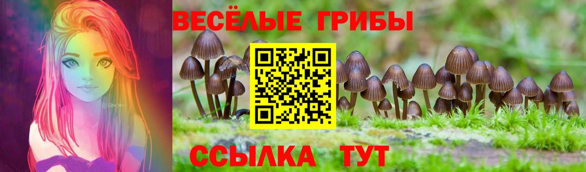 Энгельс  Галлюциногенные грибы мухоморы  Вход с VPN 
